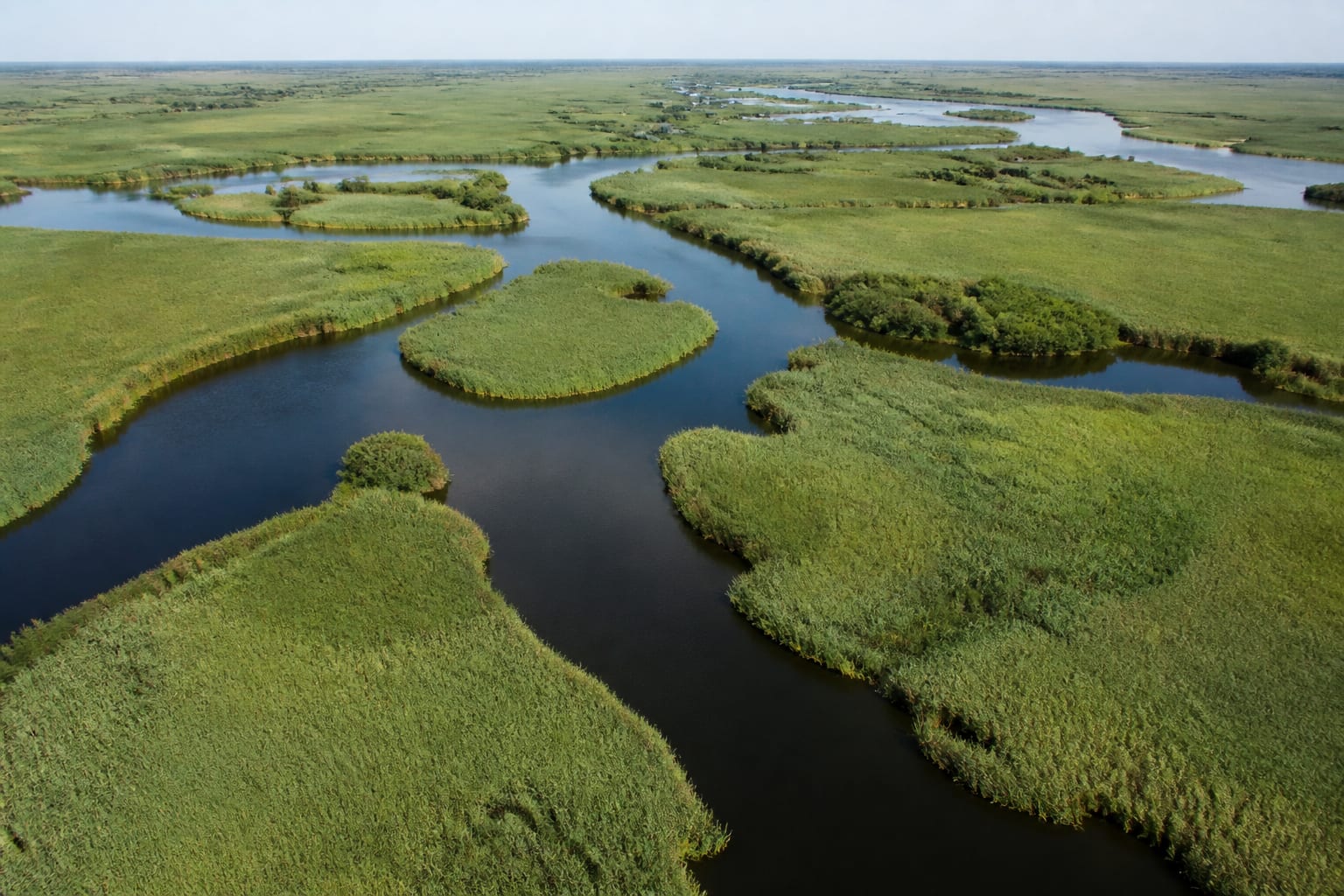 Tulcea trimite 14 instituții să controleze 3.000 de hectare din Delta Dunării